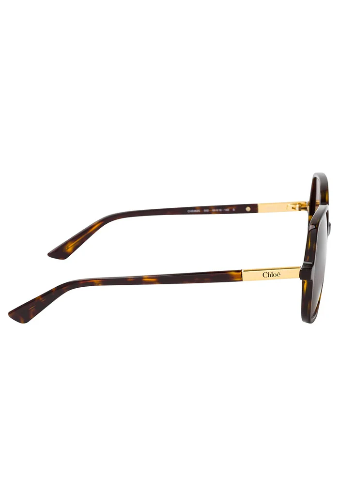 Chloé Sunglasses - CH0362S 002 Havana - Image 3