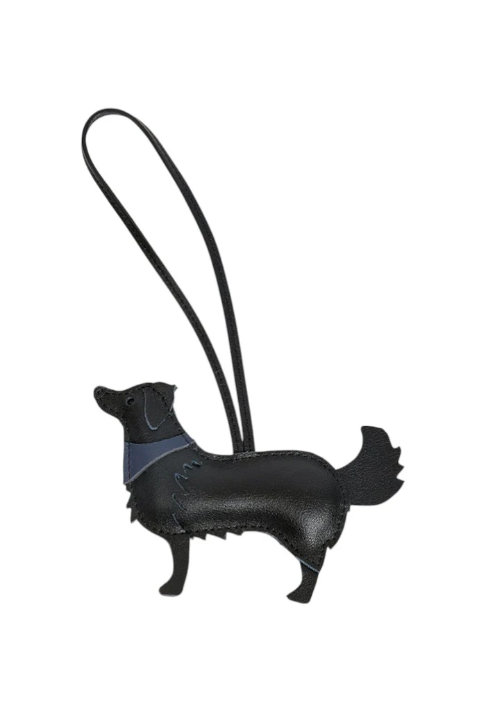 Coqui Fob