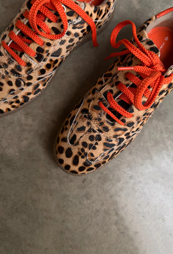 Leopard Pony Trainer - Image 5