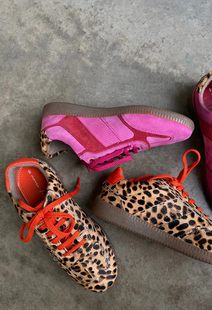 Leopard Pony Trainer - Image 6