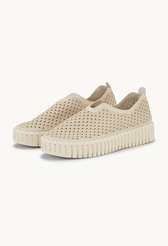 Microfiber Tulip Shoe - Kit - Image 8