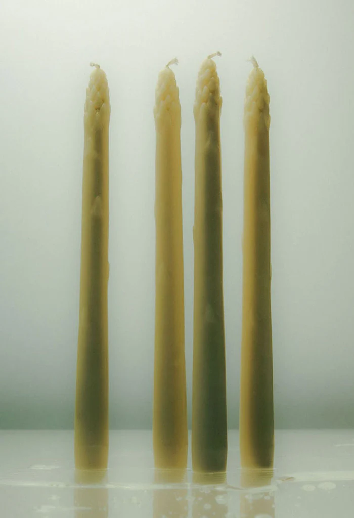 The Asparagus Bunch Candles - Ivory - Image 3