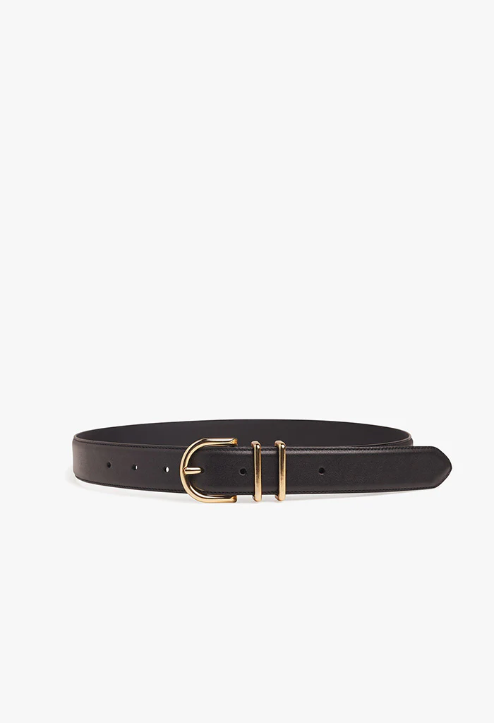 The Fancy Juni Belt - Brown/Polished Gold - Image 3