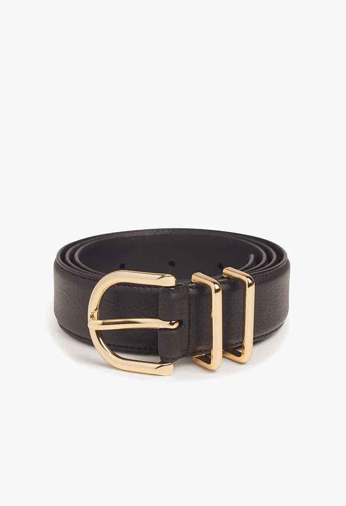 The Fancy Juni Belt - Brown/Polished Gold - Image 5